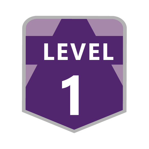 Level 1