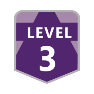 level 3