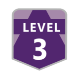 level 3