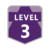 level 3